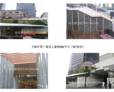 上海环贸广场完工案例3
