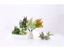5头20目薄荷黄英草   MINT SOLIDAGO